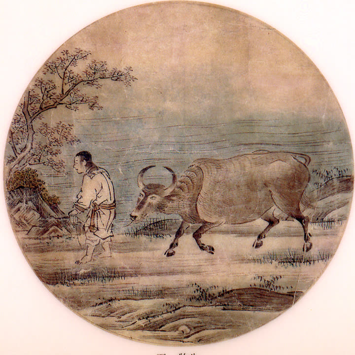 Ink and colour painting on a round fan: a herdsman walking ahead of an ox on a slack rope, by a blossoming tree